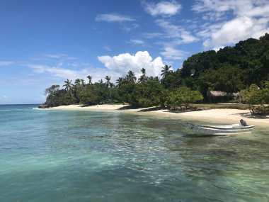 Sahile demir atan küçük beyaz bir tekne.