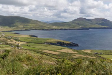 İrlanda 'da yeşil tarlaların ve kıyı şeridinin manzaralı bir görüntüsü