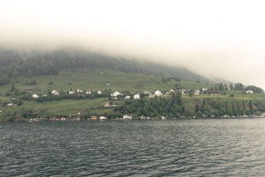 Lucerne Gölü 'nün yeşil kıyısındaki kır evlerinin güzel manzarası. Burgenstock, İsviçre.