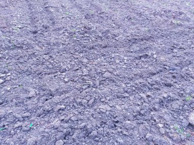 Doğanın Güzel Arkaplan Fotoğrafı