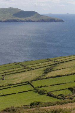 İrlanda 'da yeşil tarlaların ve kıyı şeridinin manzaralı bir görüntüsü