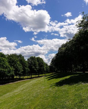 Almanya Bonn 'da güneşli bir günde Rheinaue Park' ın güzel bir manzarası.