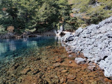 Orman ve kayalarla çevrili sakin, şeffaf bir göl manzarası.