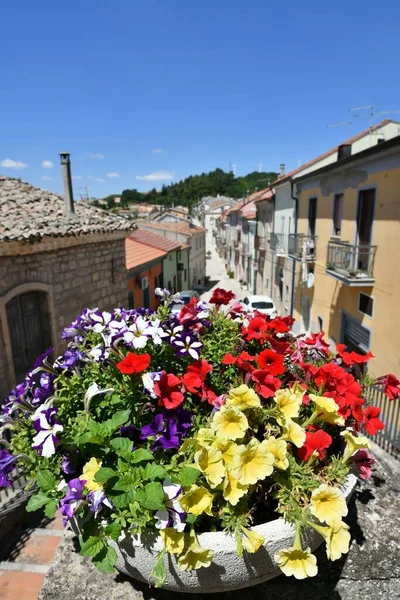 Vase Flowers Narrow Street Montaguto Rural Village Province Avellino Campania — Stock Photo, Image