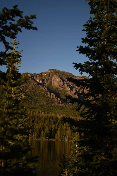 Malowniczy Widok Las Góry — Zdjęcie stockowe