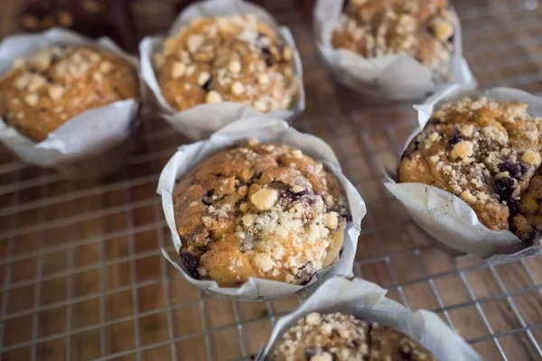 Primo Piano Deliziosi Muffin Alla Vaniglia Mirtilli Isolati Uno Sfondo — Foto Stock