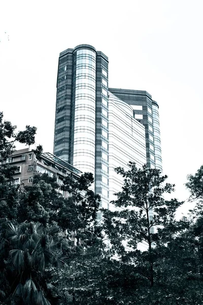 昼間の手前に木のある超高層ビルの垂直ショット — ストック写真