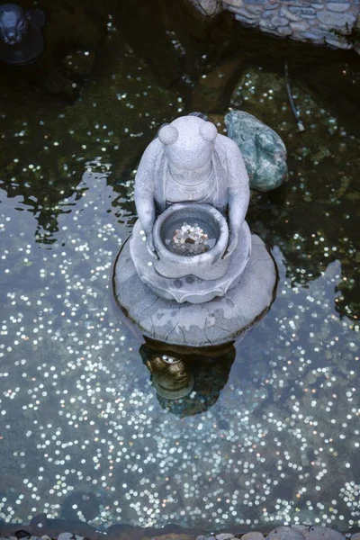 韓国済州島の薬泉寺にあるコイン付きの願い事噴水の垂直トップショット — ストック写真