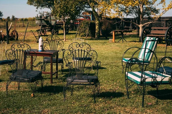 Uma Vista Cadeiras Metálicas Gramado Verde Dia Ensolarado — Fotografia de Stock