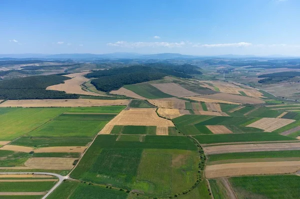 Molti Terreni Agricoli Visti Dall Alto Verde Raccolto — Foto Stock