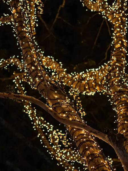 Vertikální Záběr Stromu Zdobeného Žlutými Vílami Noci — Stock fotografie