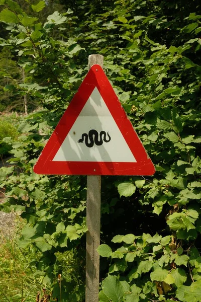 森の中で警告ヘビの標識の垂直ショット レオガン ザルツブルク オーストリア — ストック写真