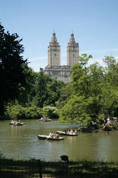 Plano Vertical Del Central Park Nueva York — Foto de Stock