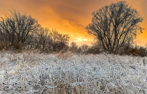 Ein Schöner Blick Auf Einen Eissturm Mit Laubbäumen Und Orangefarbenem — Stockfoto