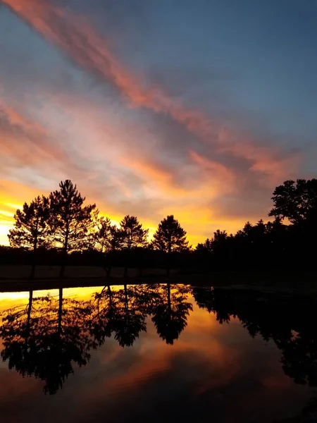 Vertikal Bild Trädens Silhuetter Mot Bakgrunden Himlen Vid Solnedgången — Stockfoto