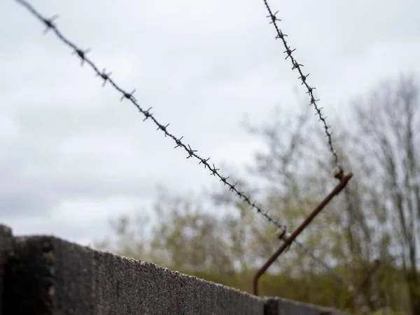 Barbed Wire Surrounding Mink Farm — Stock Photo, Image