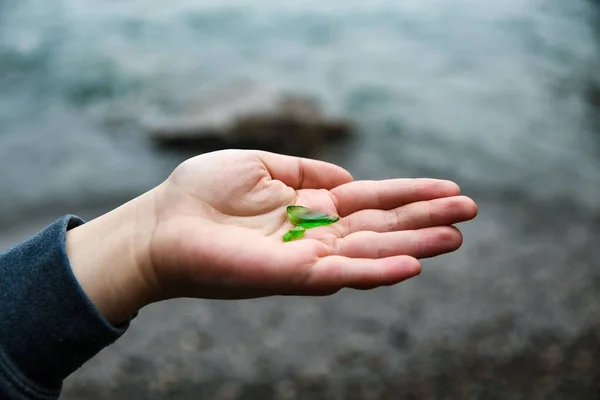 Närbild Små Gröna Glasbitar Hand Ett Barn Med Suddig Bakgrund — Stockfoto