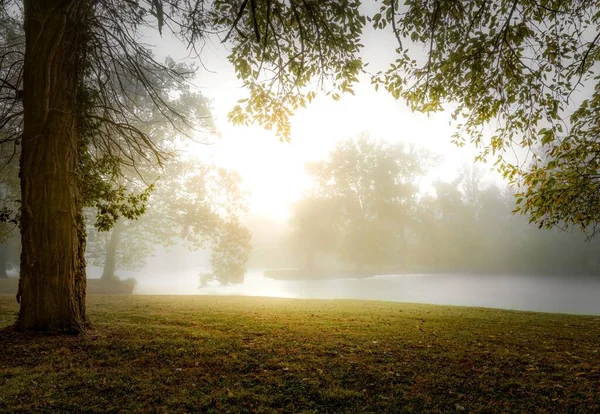 Una Hermosa Toma Amanecer Brumoso Sobre Lago Bosque — Foto de Stock