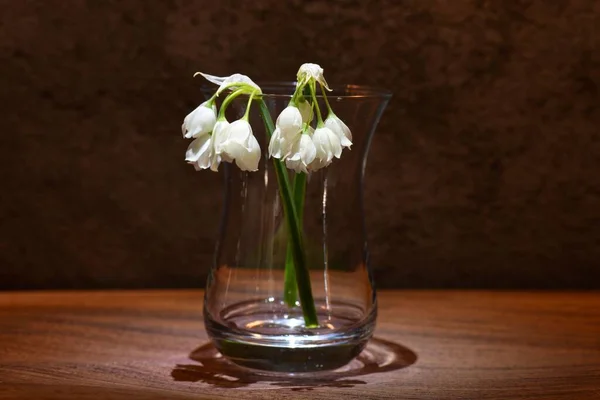 Tiro Close Gotas Neve Intemperizadas Galanthus Vaso Vidro — Fotografia de Stock