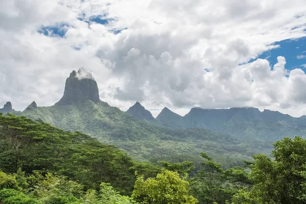 Moorea Polinésia Opunohu Belvedere Belo Panorama Mar Duas Baías Montanha — Fotografia de Stock