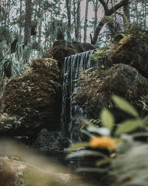 Bild Skogen Och Ett Litet Vattenfall Från Klippor — Stockfoto