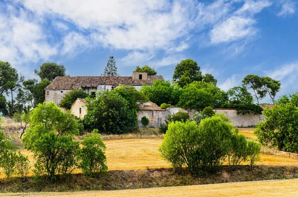 Ein Altes Verlassenes Landhaus Aus Stein Katalonien Umgeben Von Bäumen — Stockfoto