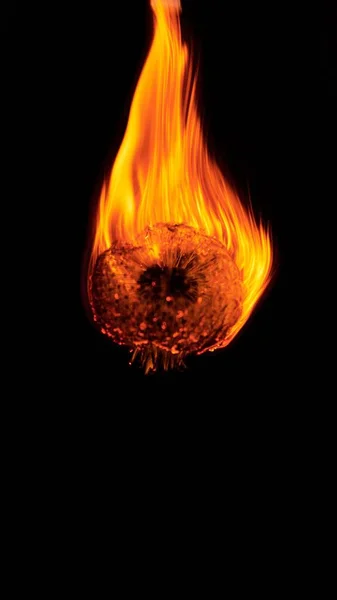 黒い背景の上での炎のタンポポの垂直閉鎖 — ストック写真