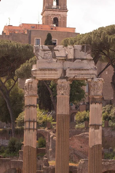 Lodret Skud Forum Romanum Omgivet Ruinerne Gamle Regeringsbygninger Rom - Stock-foto