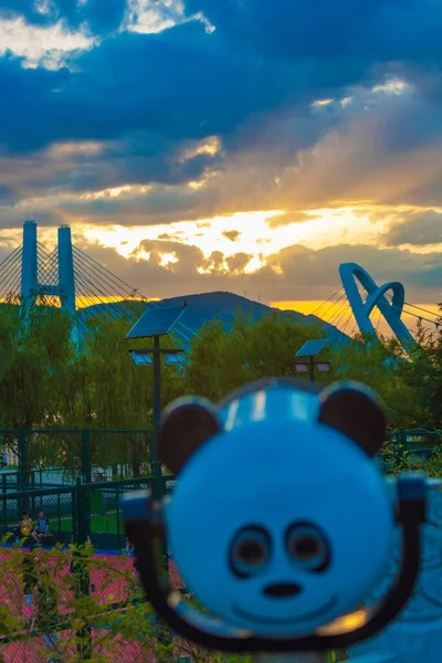 Closeup Panda Face Background Cable Stayed Bridge Sunset — Stock Photo, Image