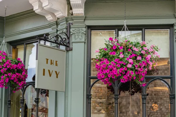 Windsor Storbritannien Augusti 2022 Restaurangen Ivy — Stockfoto