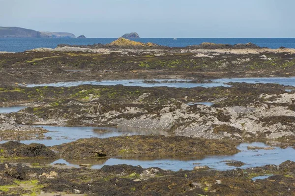 Ein Blick Auf Die Halbinsel — Stockfoto