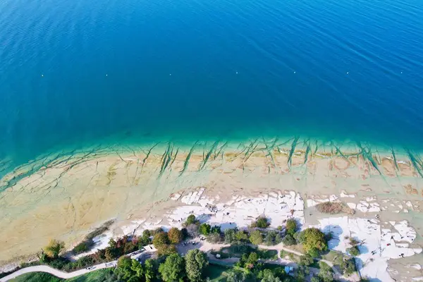 Flygfoto Över Lugn Sjöstrand Med Träd Solig Dag — Stockfoto