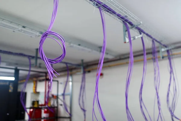 Server Room Construction Standardized Twisted Pair Cables Category Ethernet Other — Stock Photo, Image