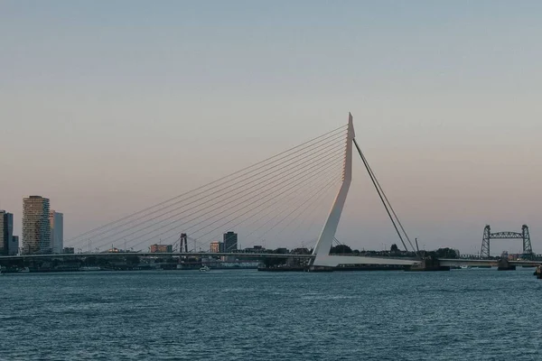 Мост Эрасмусбруг Роттердаме Нидерланды Мягким Закатом Позади — стоковое фото