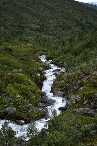 Een Prachtig Uitzicht Waterval Vanuit Bergen Vol Bomen — Stockfoto