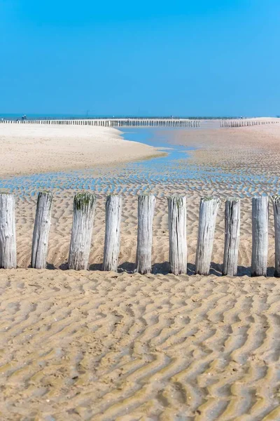 Αμμώδη Παραλία Επιφάνεια Πολλαπλασιαστικές Σχήματα Και Ξύλινων Στύλων — Φωτογραφία Αρχείου