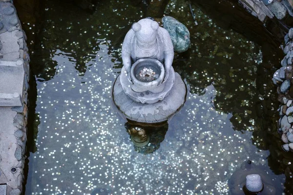 韓国済州島の薬泉寺にあるコイン付きの願い事噴水のトップショット — ストック写真