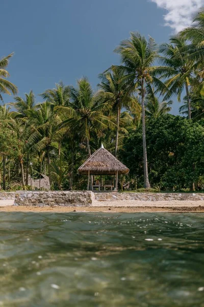 Een Hut Aan Het Strand Achtergrond Van Palmbomen — Stockfoto
