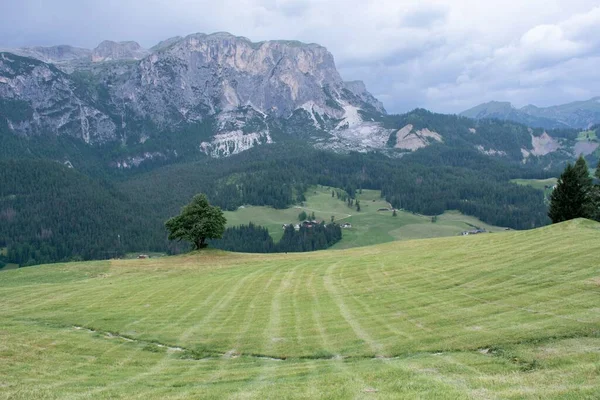 Montanhas Rochosas Sobre Vale Planície Verde — Fotografia de Stock