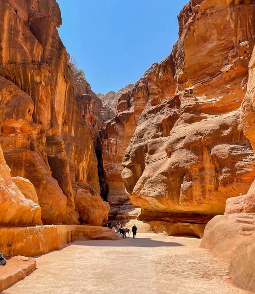 Colpo Verticale Stretto Sentiero Tra Enormi Rocce Nella Famosa Petra — Foto Stock