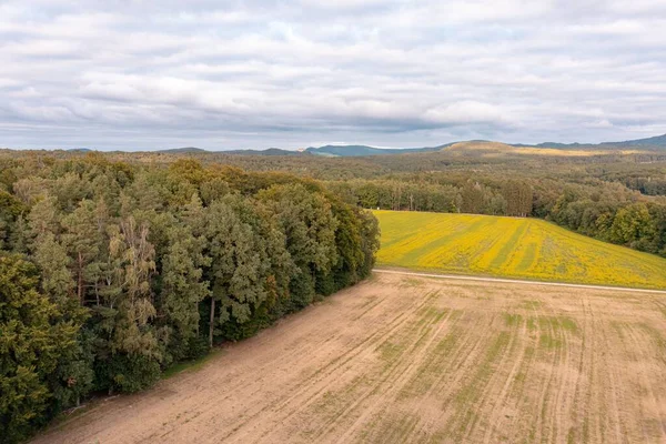 Una Toma Aérea Del Borde Bosque Alemania —  Fotos de Stock