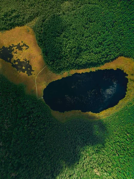 Uma Vista Aérea Lago Rodeado Por Uma Floresta Lindamente Densa — Fotografia de Stock