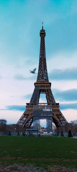 Вертикальний Знімок Ейфелевої Вежі Проти Зеленого Газони Похмурий День Парижі — стокове фото