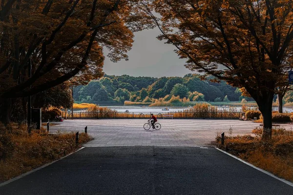 Ein Schöner Blick Auf Einen Japanischen Radfahrer Der Herbst Durch — Stockfoto