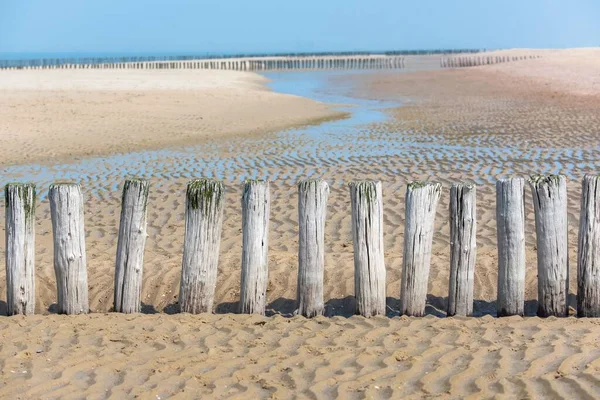 Sandy Beach Surface Ripple Shapes Wooden Poles — Stock Photo, Image