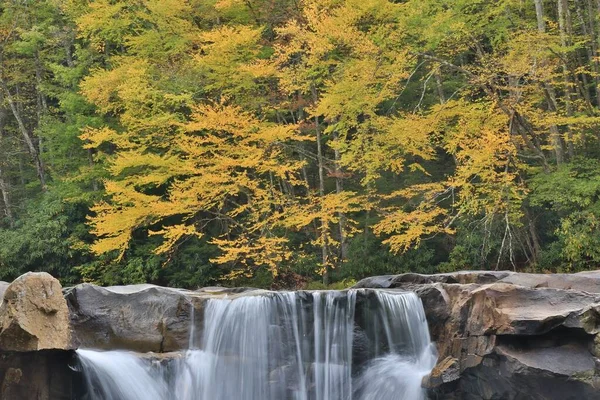Uma Longa Exposição Das High Falls Shavers Fork Cheat River — Fotografia de Stock