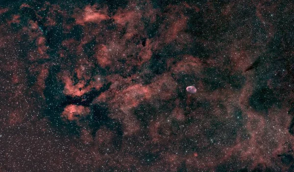 Sadr Bölgesinin Geniş Alan Astrofotografı Kelebek Hilal Nebulasını Gösteriyor — Stok fotoğraf