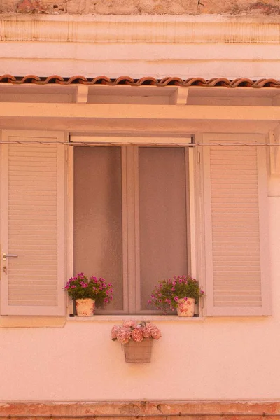 Plano Vertical Una Casa Residencial Con Plantas Flores Alféizar Ventana — Foto de Stock