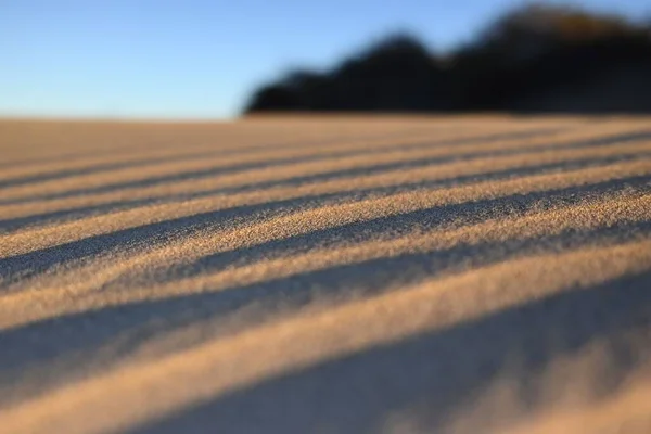 Vindmönster Sanddyner Arrakis Vid Solnedgången — Stockfoto