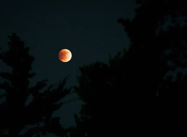 View Blood Moon Lunar Eclipse — Stock Photo, Image